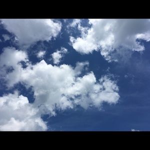 Meet your Posher, Sydney